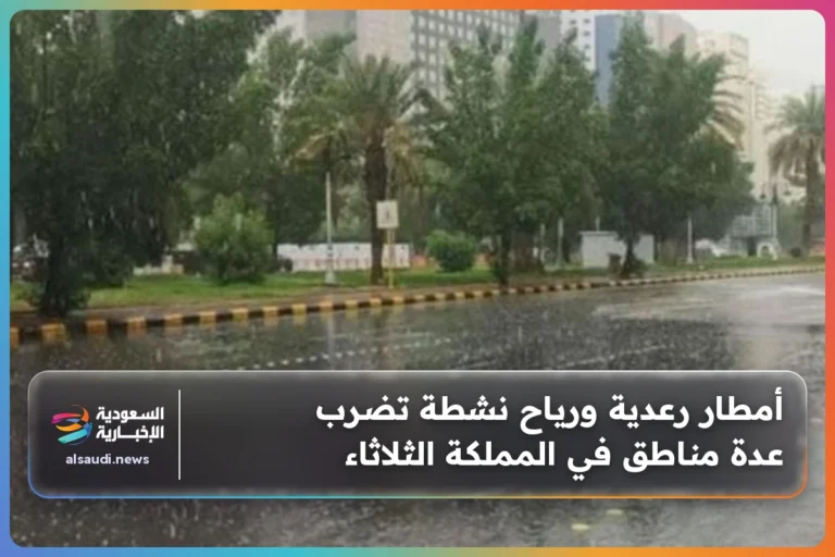 أمطار رعدية ورياح نشطة تضرب عدة مناطق في المملكة الثلاثاء