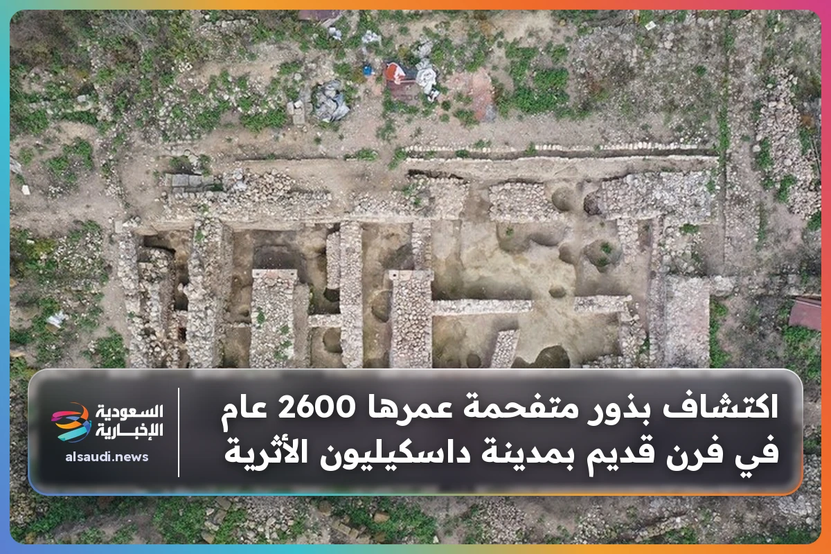 اكتشاف بذور متفحمة عمرها 2600 عام في فرن قديم بمدينة داسكيليون الأثرية