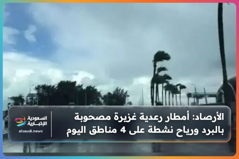 الأرصاد: أمطار رعدية غزيرة مصحوبة بالبرد ورياح نشطة على 4 مناطق اليوم