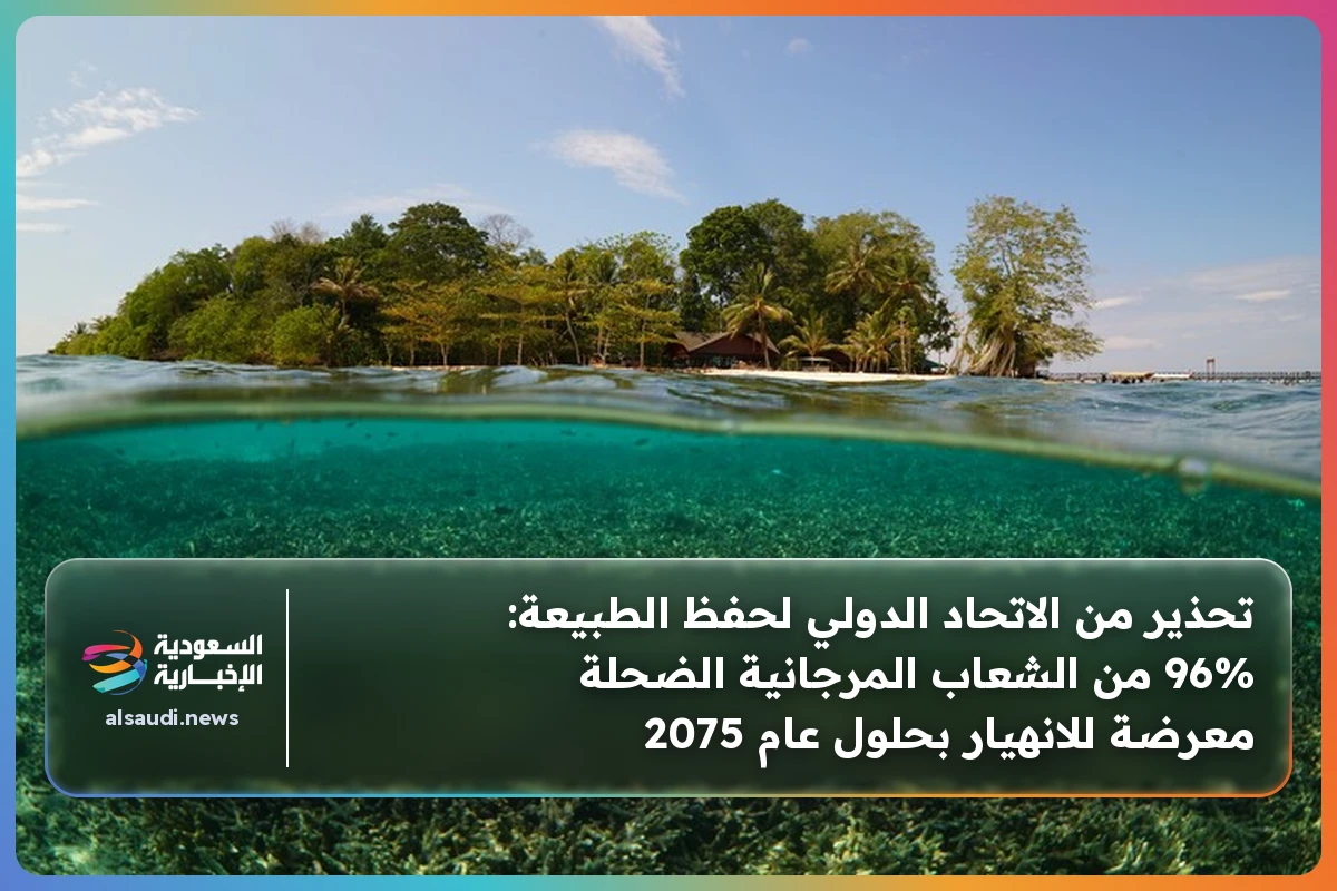 تحذير من الاتحاد الدولي لحفظ الطبيعة: 96% من الشعاب المرجانية الضحلة معرضة للانهيار بحلول عام 2075