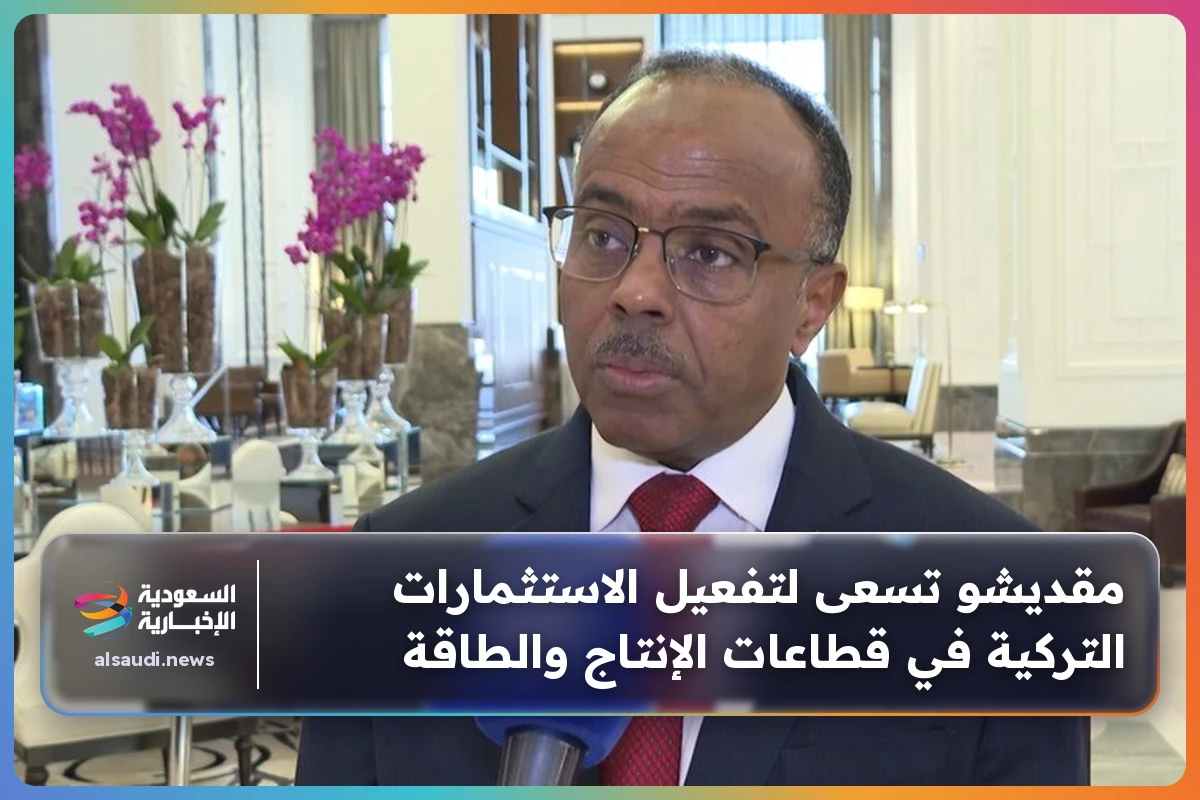 مقديشو تسعى لتفعيل الاستثمارات التركية في قطاعات الإنتاج والطاقة