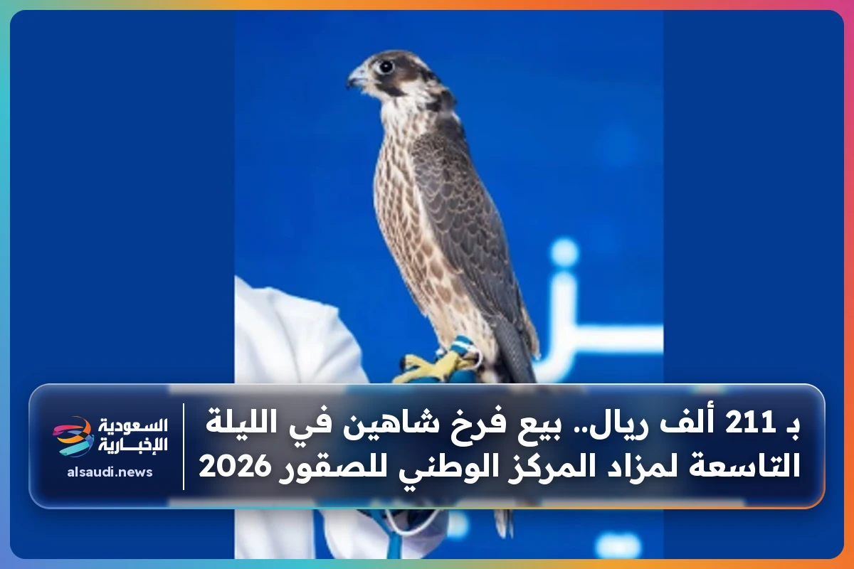 بـ 211 ألف ريال.. بيع فرخ شاهين في الليلة التاسعة لمزاد المركز الوطني للصقور 2026