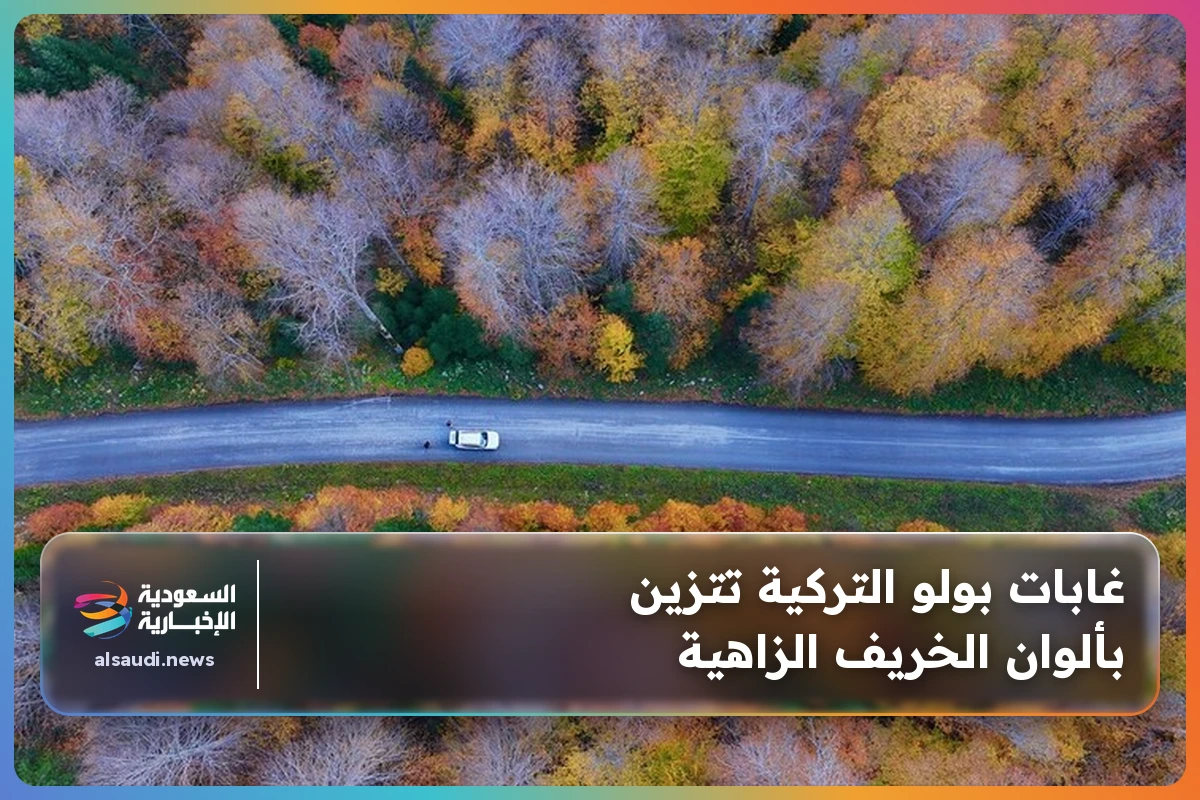 غابات بولو التركية تتزين بألوان الخريف الزاهية