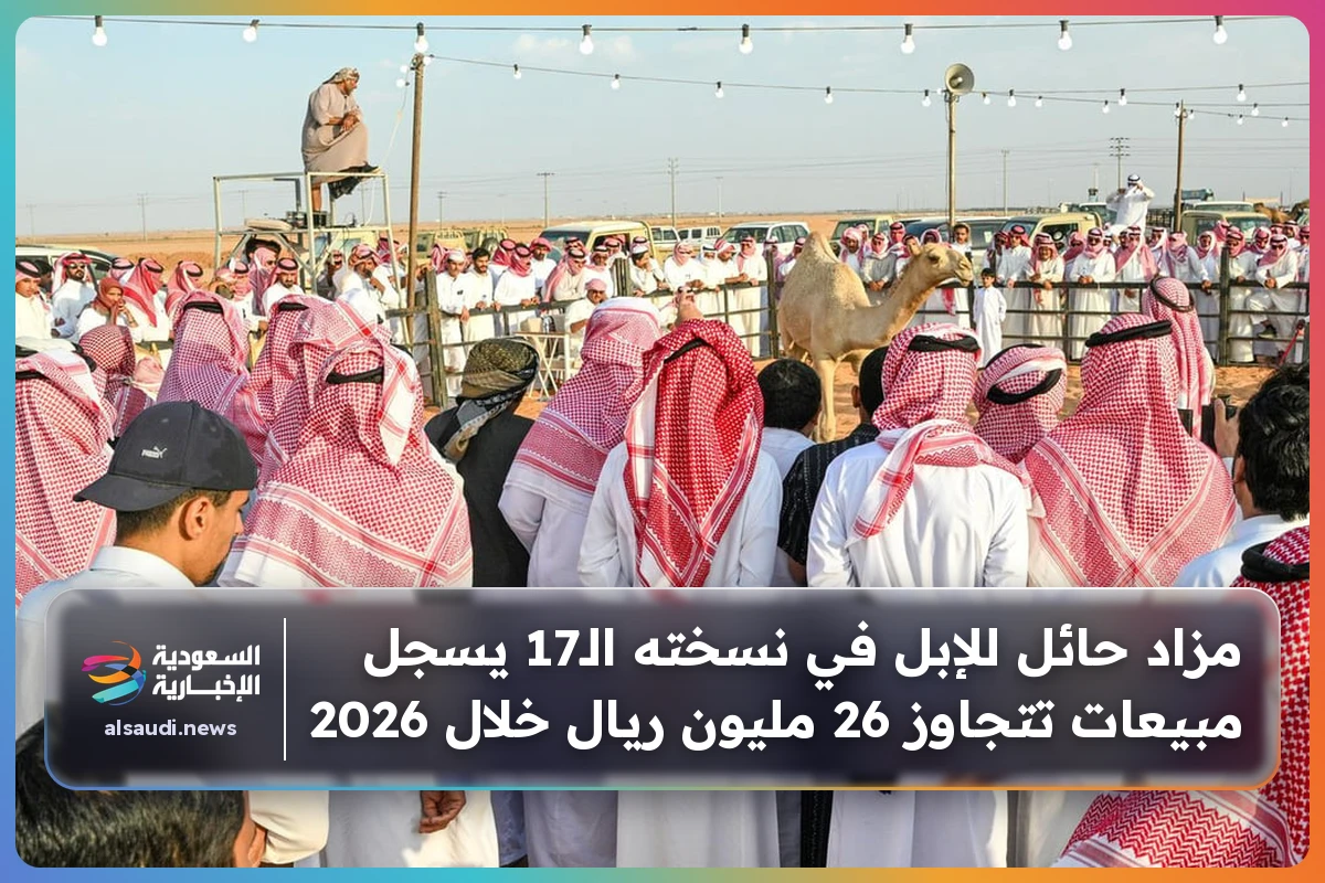 مزاد حائل للإبل في نسخته الـ17 يسجل مبيعات تتجاوز 26 مليون ريال خلال 2026