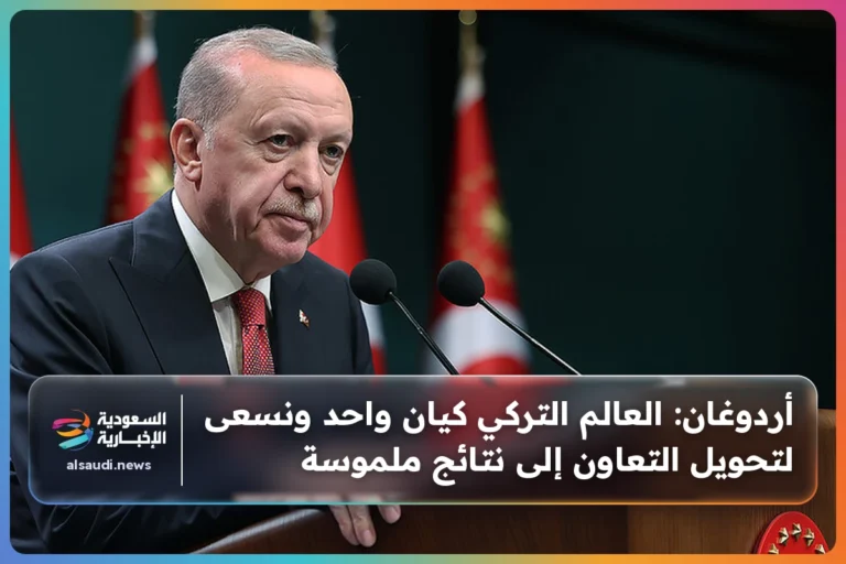 أردوغان: العالم التركي كيان واحد ونسعى لتحويل التعاون إلى نتائج ملموسة