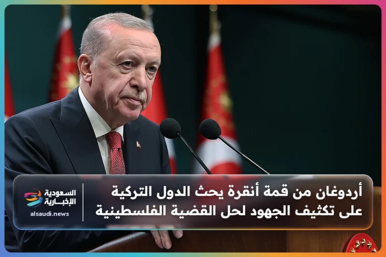 أردوغان من قمة أنقرة يحث الدول التركية على تكثيف الجهود لحل القضية الفلسطينية