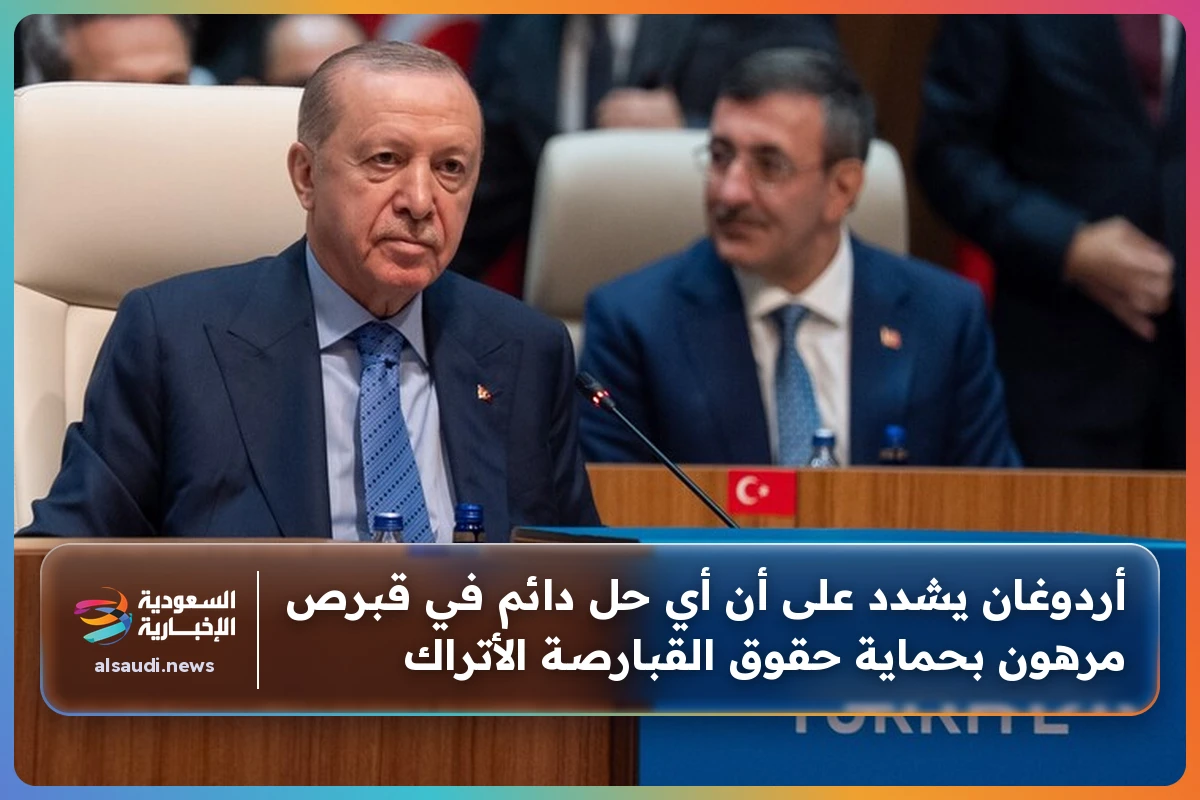 أردوغان يشدد على أن أي حل دائم في قبرص مرهون بحماية حقوق القبارصة الأتراك
